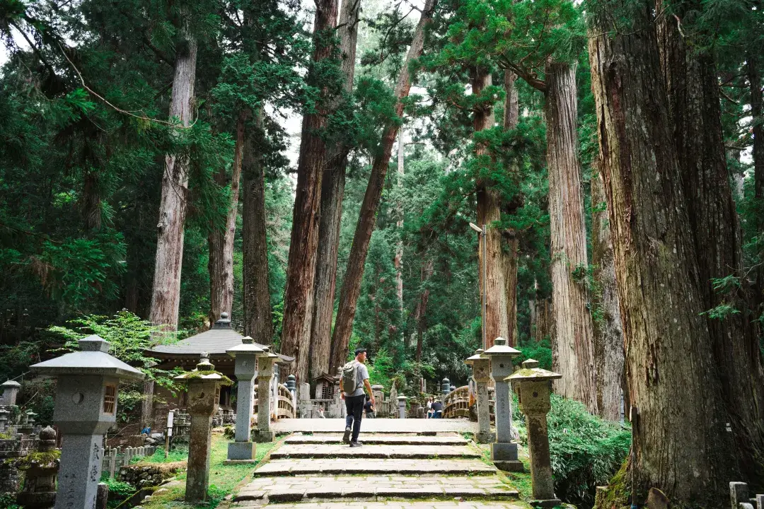 Koya - Giappone