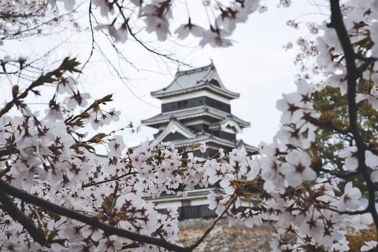 Matsumoto - Giappone