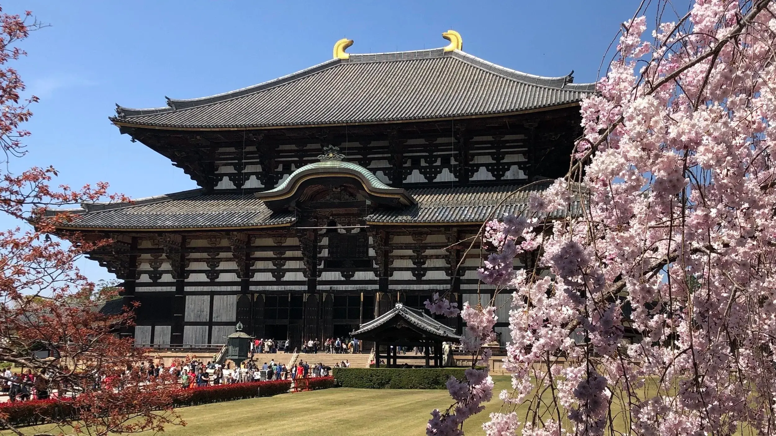 Todaiji - Giappone