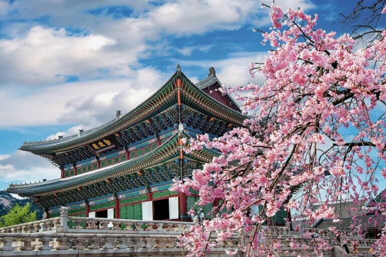 Corea del Sud - Viaggi in Pink